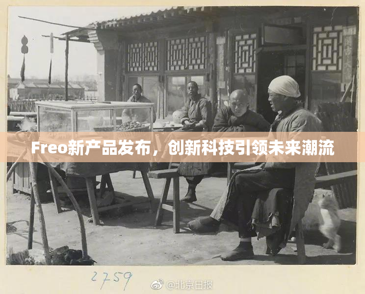 Freo新产品发布，创新科技引领未来潮流