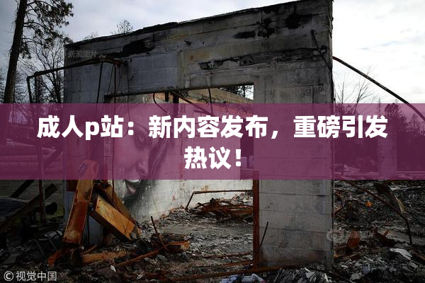 成人p站：新内容发布，重磅引发热议！