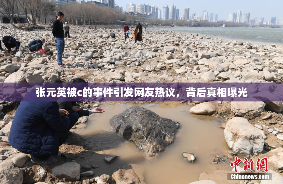 张元英被c的事件引发网友热议，背后真相曝光