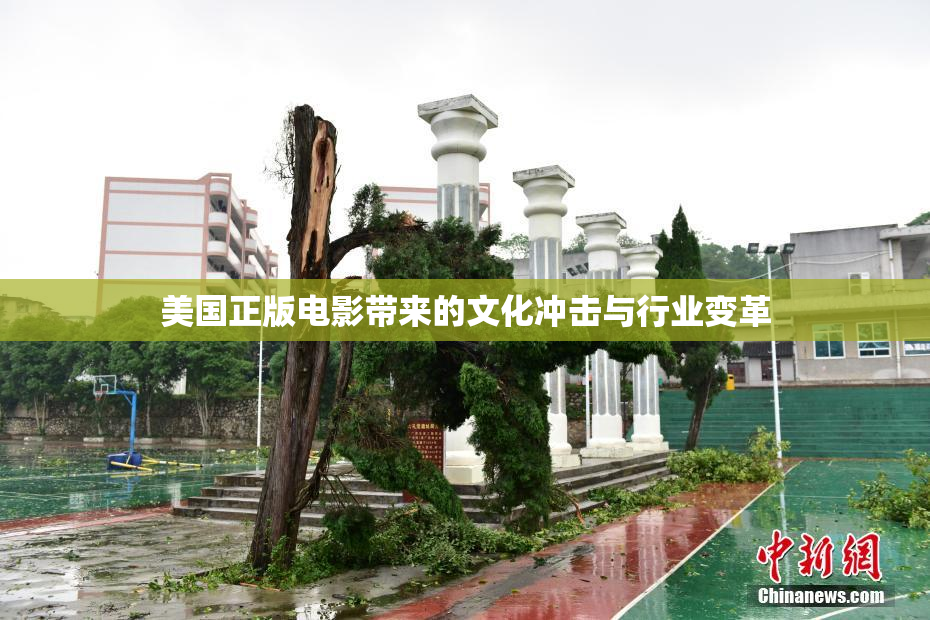 美国正版电影带来的文化冲击与行业变革