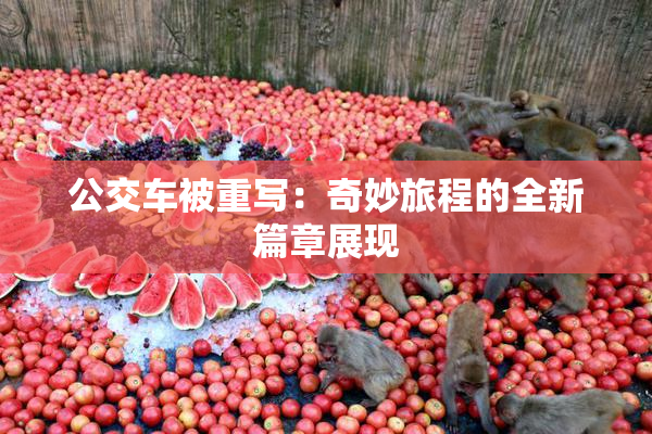 公交车被重写：奇妙旅程的全新篇章展现