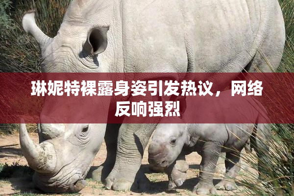 琳妮特裸露身姿引发热议，网络反响强烈