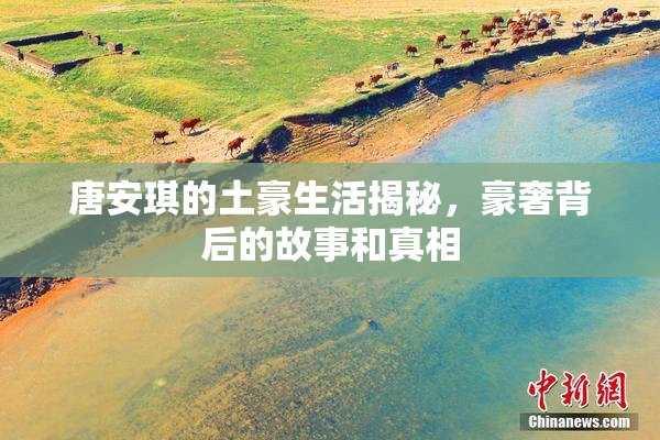 唐安琪的土豪生活揭秘，豪奢背后的故事和真相