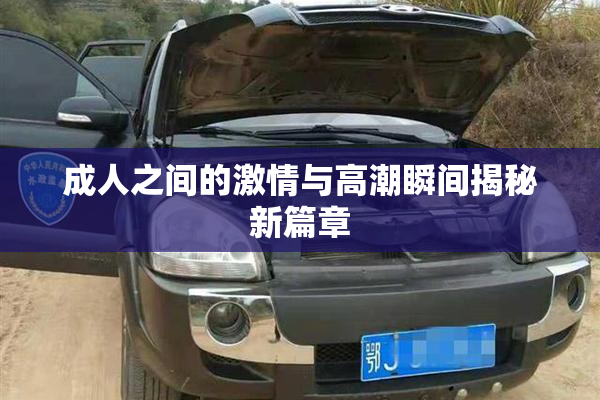 成人之间的激情与高潮瞬间揭秘新篇章