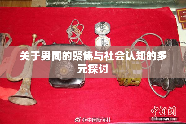 关于男同的聚焦与社会认知的多元探讨