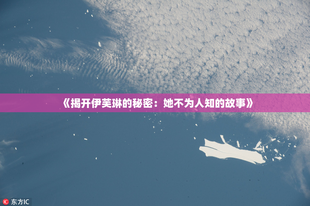 《揭开伊芙琳的秘密：她不为人知的故事》