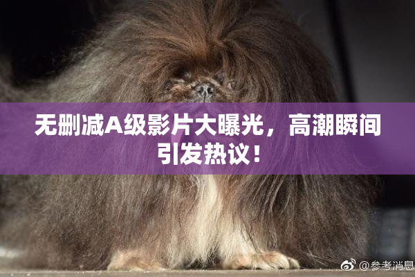 无删减A级影片大曝光，高潮瞬间引发热议！