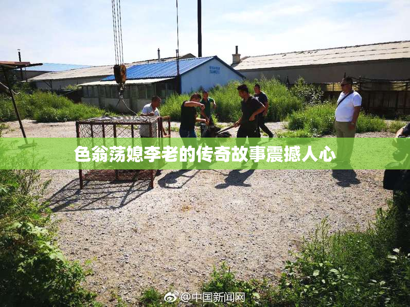 色翁荡媳李老的传奇故事震撼人心