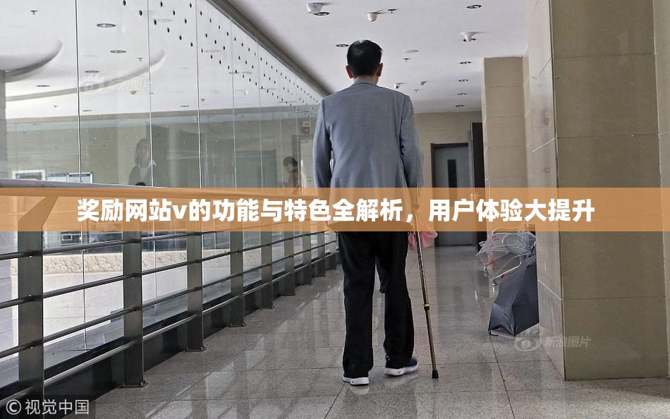 奖励网站v的功能与特色全解析，用户体验大提升