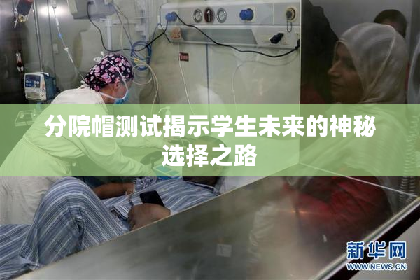 分院帽测试揭示学生未来的神秘选择之路