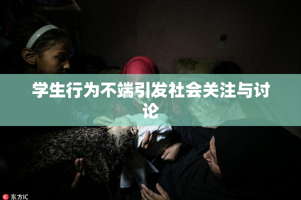 学生行为不端引发社会关注与讨论