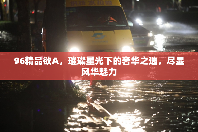 96精品欲A，璀璨星光下的奢华之选，尽显风华魅力