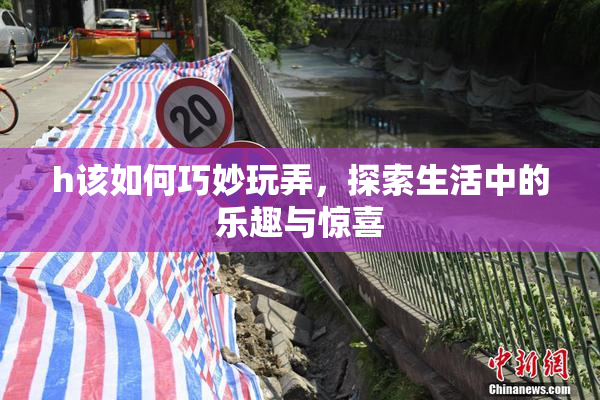 h该如何巧妙玩弄，探索生活中的乐趣与惊喜
