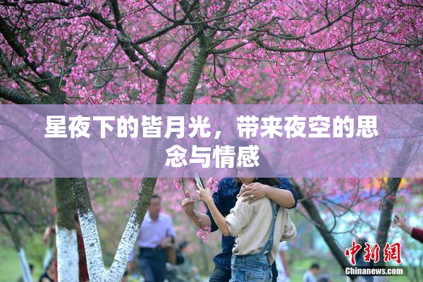 星夜下的皆月光，带来夜空的思念与情感