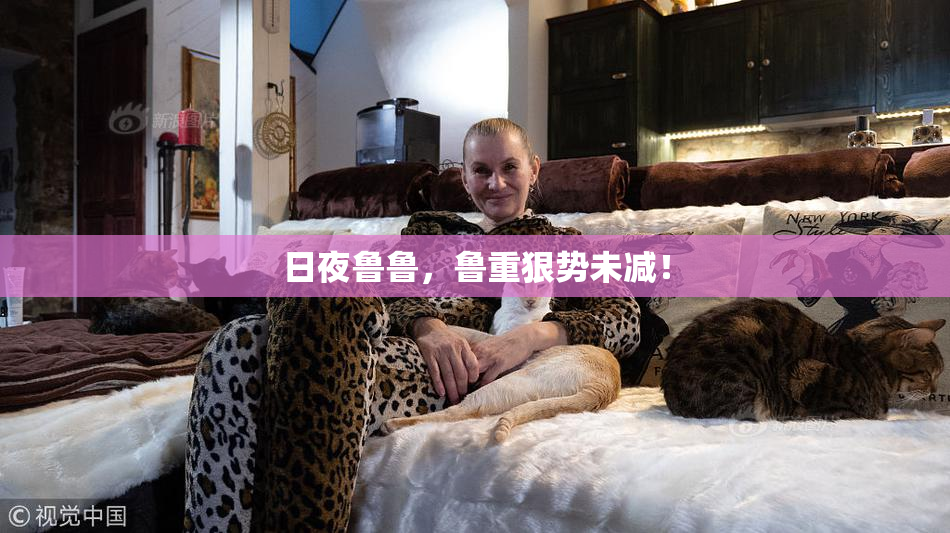日夜鲁鲁，鲁重狠势未减！