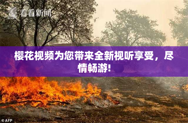 樱花视频为您带来全新视听享受，尽情畅游!