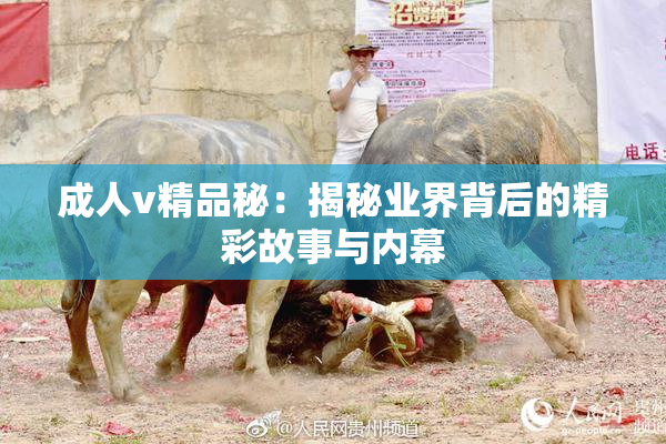 成人v精品秘：揭秘业界背后的精彩故事与内幕