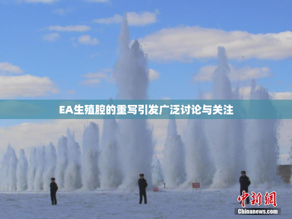 EA生殖腔的重写引发广泛讨论与关注