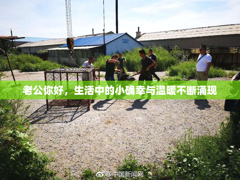 老公你好，生活中的小确幸与温暖不断涌现