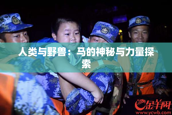 人类与野兽：马的神秘与力量探索