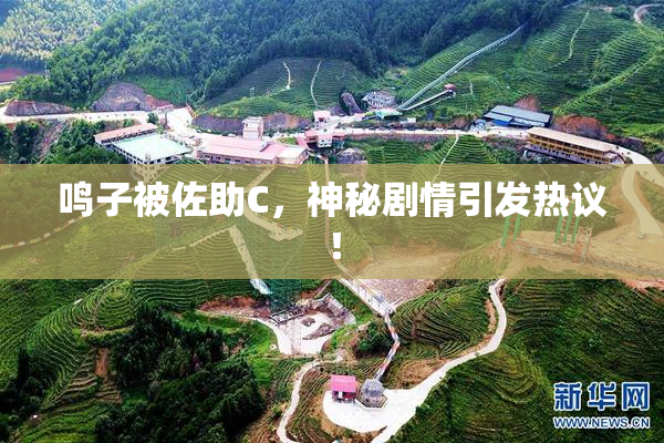 鸣子被佐助C，神秘剧情引发热议！