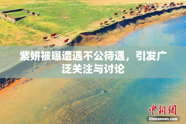 紫妍被曝遭遇不公待遇，引发广泛关注与讨论
