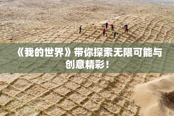 《我的世界》带你探索无限可能与创意精彩！