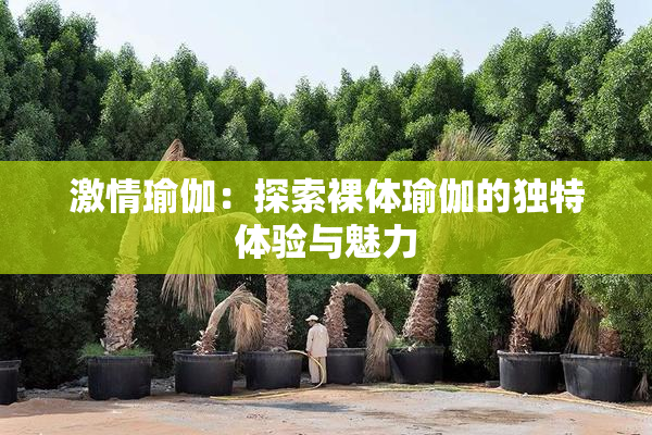 激情瑜伽：探索裸体瑜伽的独特体验与魅力