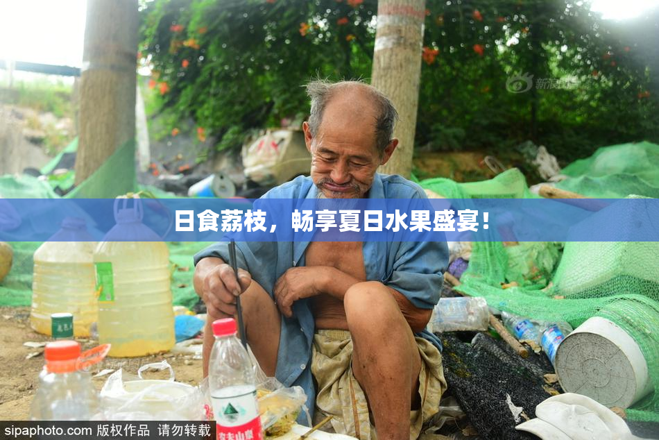 日食荔枝，畅享夏日水果盛宴！