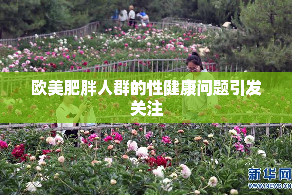 欧美肥胖人群的性健康问题引发关注