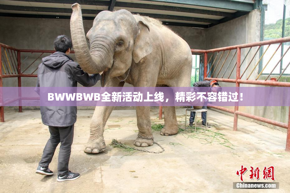 BWWBWB全新活动上线，精彩不容错过！