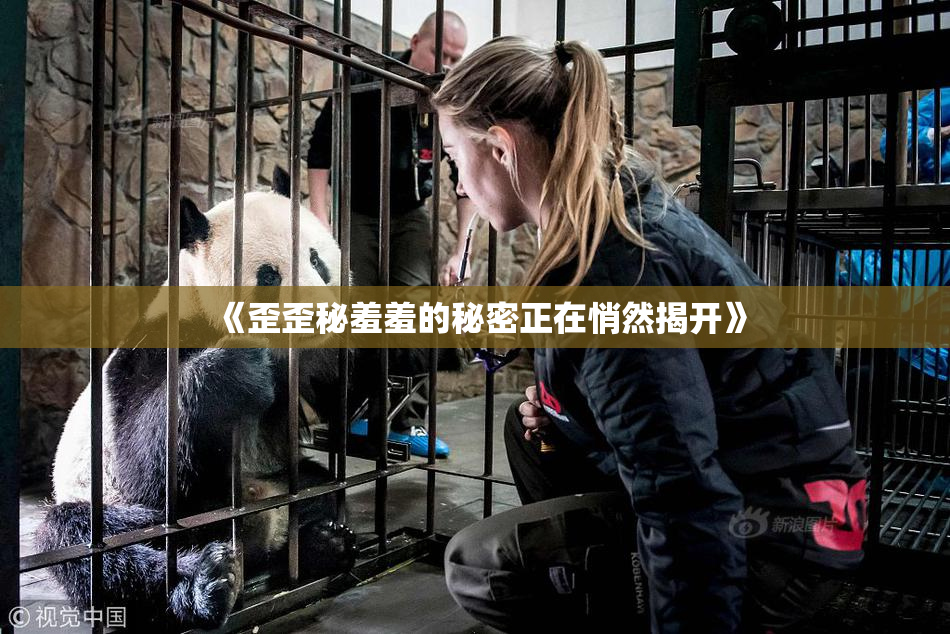 《歪歪秘羞羞的秘密正在悄然揭开》