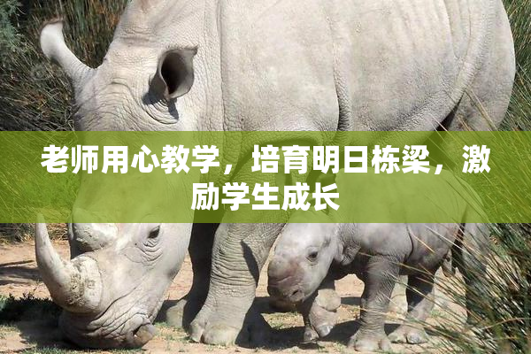 老师用心教学，培育明日栋梁，激励学生成长