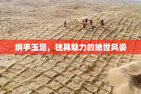 纲手玉足，独具魅力的绝世风姿