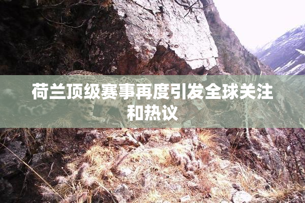 荷兰顶级赛事再度引发全球关注和热议