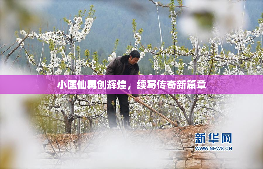 小医仙再创辉煌，续写传奇新篇章