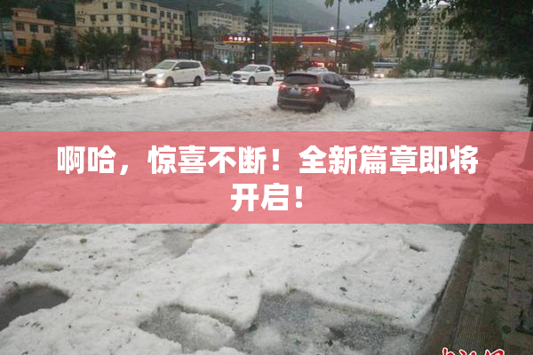 啊哈，惊喜不断！全新篇章即将开启！