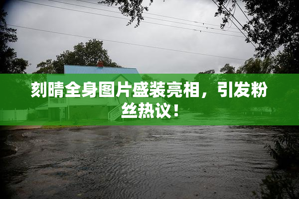 刻晴全身图片盛装亮相，引发粉丝热议！