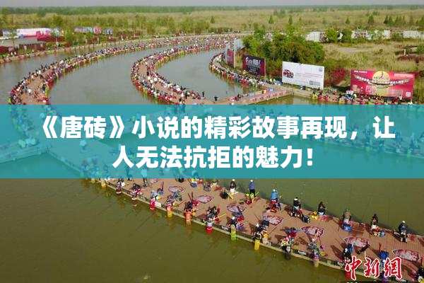 《唐砖》小说的精彩故事再现，让人无法抗拒的魅力！
