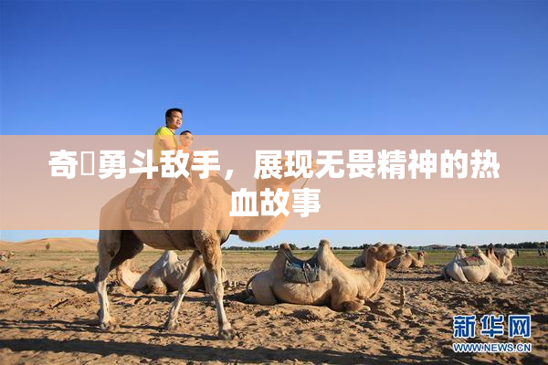 奇犽勇斗敌手，展现无畏精神的热血故事