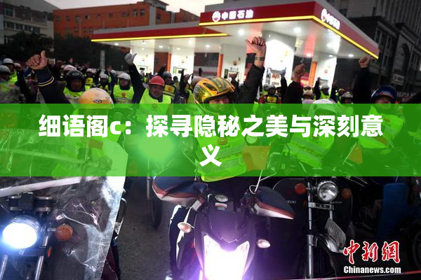 细语阁c：探寻隐秘之美与深刻意义