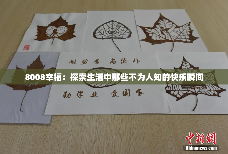8008幸福：探索生活中那些不为人知的快乐瞬间