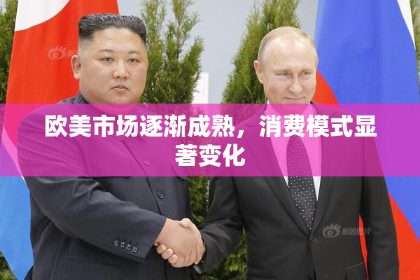 欧美市场逐渐成熟，消费模式显著变化