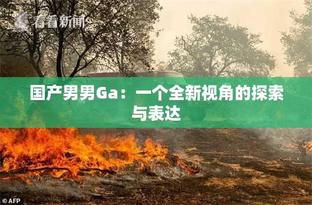 国产男男Ga：一个全新视角的探索与表达