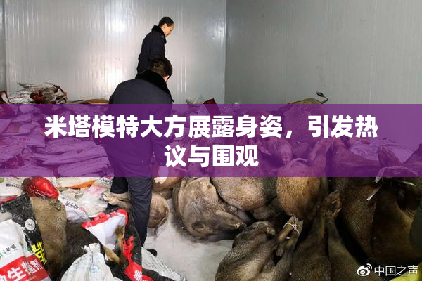 米塔模特大方展露身姿，引发热议与围观