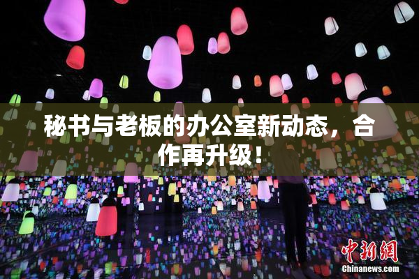 秘书与老板的办公室新动态，合作再升级！