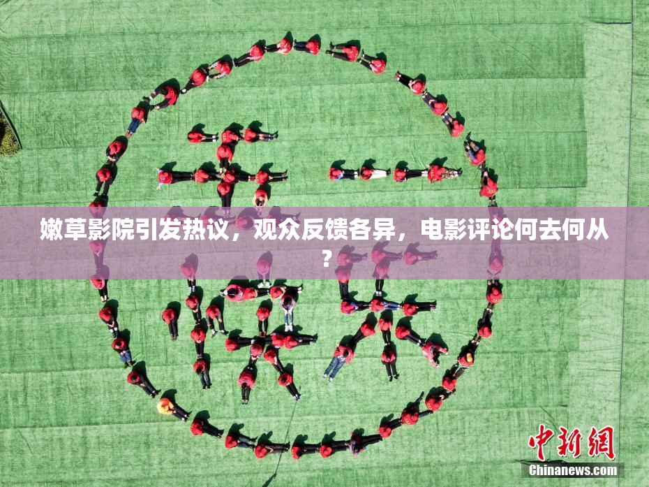 嫩草影院引发热议，观众反馈各异，电影评论何去何从？