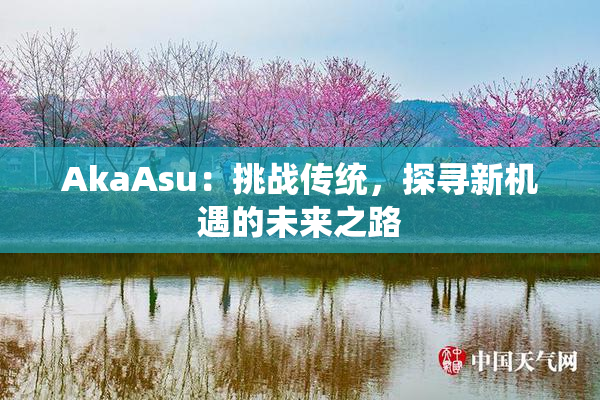AkaAsu：挑战传统，探寻新机遇的未来之路
