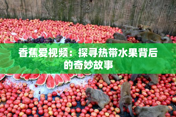 香蕉爱视频：探寻热带水果背后的奇妙故事