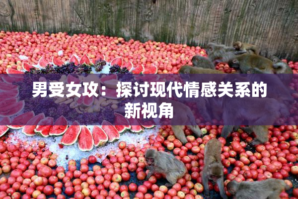 男受女攻：探讨现代情感关系的新视角